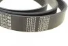 Ремень генератора Audi A4/A6/A8/Q7 2.7/3.0TDI 04- MEYLE 0500062490 (фото 3)