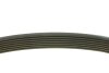 Ремень генератора Renault Megane/Scenic 1.9dCi/2.0 03-/Nissan Juke 1.6 10- (7PK1125) MEYLE 050 007 1125 (фото 2)