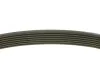 Ремінь генератора Renault Megane/Scenic 1.9dCi/2.0 03-/Nissan Juke 1.6 10- (7PK1125) MEYLE 050 007 1125 (фото 2)