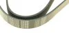 Ремінь генератора Renault Megane/Scenic 1.9dCi/2.0 03-/Nissan Juke 1.6 10- (7PK1125) MEYLE 050 007 1125 (фото 4)
