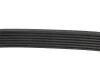 Ремень генератора Honda CR-V 2.0 01-06/ Kia Sorento 2.5CRDI 02- (7PK1730) MEYLE 050 007 1730 (фото 3)