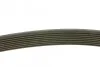 Ремень генератора Mazda 3/5/6 2.0 DI/CD 02-10 (8PK1226) MEYLE 050 008 1226 (фото 2)