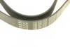 Ремень генератора Mazda 3/5/6 2.0 DI/CD 02-10 (8PK1226) MEYLE 050 008 1226 (фото 3)