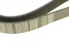 Ремень генератора Mazda 3/5/6 2.0 DI/CD 02-10 (8PK1226) MEYLE 050 008 1226 (фото 4)