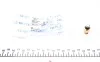 Датчик температуры охлаждающей жидкости VW Passat 1.8/2.0/Volvo 740-960 2.4D 82-97 MEYLE 1009190015 (фото 1)