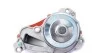 Помпа воды Citroen C1 II/C3 II/C4 Cactus/C-Elysee/Peugeot 108/2008/208/301/308 II 1.0/1.2 12- MEYLE 11-13 220 0026 (фото 4)