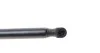 Амортизатор капоту VW Caddy III 04-10/Touran 03-06 MEYLE 1409100066 (фото 4)