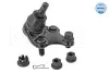Опора шаровая (передняя/снизу) Toyota Corolla 06-/Auris 07-/Rav 4 06- MEYLE 30-16 010 0077 (фото 1)