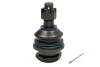Опора кульова (передня/знизу) Nissan Navara 2.5 TD 98-01 MEYLE 36160100019 (фото 1)