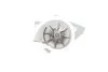 Помпа воды Citroen C4-C8/Jumpy 2.0-2.2HDi/Fiat Scudo 2.0D/Ford Focus 2.0TDCI 01- (19z) MEYLE 513 220 0002 (фото 4)