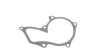 Помпа воды Ford Fiesta IV/V/Focus/Fusion 1.0i/1.25/1.4i/1.6 16V 95-12/Mazda 2 03-07/Volvo 1.6 05-12 MEYLE 713 001 0015 (фото 10)