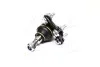 Опора кульова SEAT/VW PASSAT, GOLF III, VENTO/TOLEDO I (Вир-во Moog) MOOG VO-BJ-7184 (фото 2)