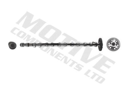 Розподільчий вал (Впускна сторона) (впускні клапани) BMW 3 (E46) 3 (E90) 3 (E91) 3 (E92) 3 (E93) 5 (E39) 5 (E60) 5 (E61) 6 (E63) 6 (E64) 7 (E38) 7 (E65 E66 E67) 2.5D/3.0D 08.98-12.13 MOTIVE T2136