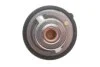 Термостат Mazda 3/6/323/626 1.4-2.5 91-14 (82°C) MOTORAD 620-82K (фото 3)