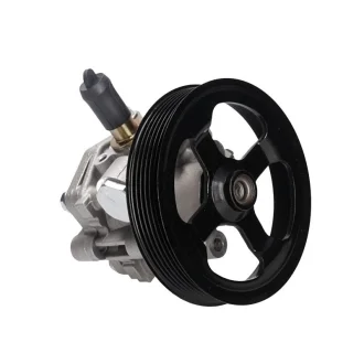 Насос ГПК новий Peugeot 4007 07-12, Mitsubishi Outlander XL 07-12, Citroen C-Crosser 07-12 MSG MT016