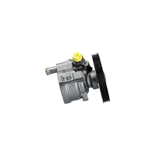 Насос ГПК відновлений Renault Clio II 98-05, Renault Kangoo 97-07 MSG OP028R