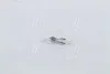 Автолампа Narva W2,3W W2x4,6d 2,3 W прозрачная NARVA 17073CP (фото 1)