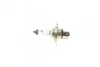 Автолампа HS1 12V 35/35W PX43t (Moto) NARVA 482203000 (фото 6)