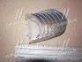 Вкладыши шатунные 0.25mm (к-кт на мотор) Nissan YD22, YD25 NDC CB1229A025 (фото 1)