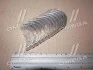 Вкладыши шатунные 0.25mm (к-кт на мотор) Toyota 1G-E, 1G-FE NDC CB1433A025 (фото 2)