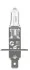 Лампа H1 NEOLUX NLX448LLSCB (фото 2)