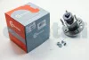 Подшипник ступицы задней. Daewoo Lanos/Opel Astra F/G/Combo/Vectra A/B 88- NFC EUROPE NFH5409 (фото 1)