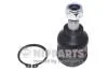 Шаровая опора NIPPARTS J4883004 (фото 1)