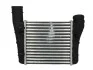 Інтеркулер AUDI A 4/S4 (B6, B7) (00-) (вир-во Nissens) NISSENS 96707 (фото 1)