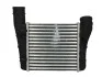 Інтеркулер AUDI A 4/S4 (B6, B7) (00-) (вир-во Nissens) NISSENS 96707 (фото 3)