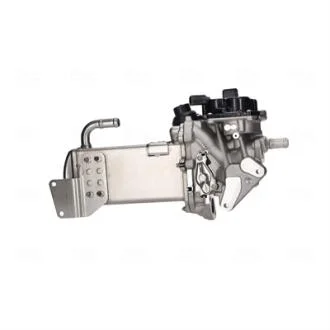Клапан EGR NISSENS 98325