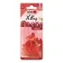 Ароматизатор мешочек X bag 20 гр Cherry Nowax NOWAX NX07555 (фото 1)