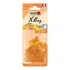 Ароматизатор мешочек X bag 20 гр Squash Nowax NOWAX NX07557 (фото 1)