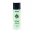 Автомобильный ароматизатор спрей (без упаковки..) X Spray- Lemon Tea 50ml NOWAX NX07769 (фото 1)