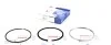 Кольца поршневые Citroen Jumper 3.0HDi 06-/10- (95.80mm/STD)(2.5-2.0-2.5) = 8920070000 NPR 120 020 0007 00 (фото 1)