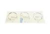 Кільця поршневі Fiat Ducato 2.3D 06- (88.00mm/STD) (2.5-2-2.5) = 8920640000 NPR 120 020 0034 00 (фото 5)