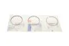 Кольца поршневые Ford Transit Custom 2.0EcoBlue/TDCi 15- (84.00mm/STD) (2-2-2) NPR 120 021 0081 00 (фото 2)