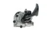 Насос масляный Renault Laguna II/ Scenic II/III 1.9 dCi 05- (24z) = 5338100000 NPR 191 038 0011 00 (фото 3)