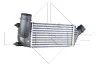Радіатор інтеркулера Citroen Jumpy/Peugeot Expert 2.0HDi 06- NRF 30242 (фото 1)