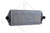 Радіатор інтеркулера Cirtoen Jumpy/Fiat Scudo 1.9/2.0 HDI 96-06 NRF 30803 (фото 1)