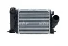 Радіатор інтеркулера Renault Megane IV 1.6 dCi 15- NRF 30984 (фото 8)