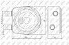 Радиатор масляный Renault Kangoo/Master/Trafic/Opel Movano 1.5/1.9D/DTI/dCi 01- (теплообменник) NRF 31247 (фото 1)