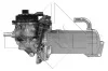 Радіатор рециркуляції ВГ з клапаном EGR Audi A4/A5/A6/Q5 2.0 TDI 07-18 NRF 48202 (фото 3)