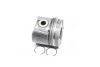 Поршень з кільцями RENAULT 87.5 2.2DCI G9T (вир-во Nural) NURAL 87-127407-10 (фото 1)