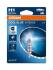 Лампочки освітлення, ксенон, LED OSRAM 64150CBN-1BL (фото 1)
