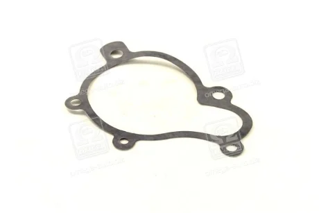 Прокладка помпы (выр-во) PARTS-MALL P1H-A006