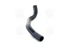 Патрубок радиатора нижний HYUNDAI ACCENT (выр-во) PARTS-MALL PXNLA-002 (фото 2)