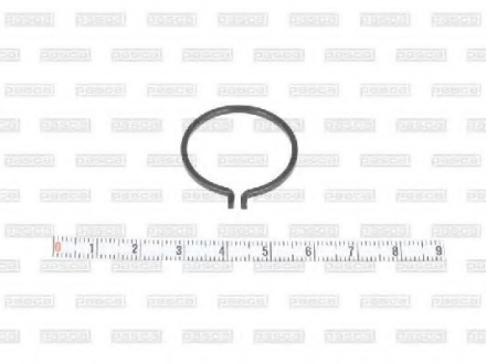Предохранительное кольцо PASCAL CIRG1X03PC (фото 1)