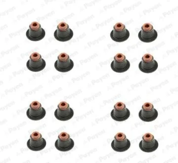 Сальник клапана (компл.) BMW N42/N46 (16PCS) (вір-во) Payen HR5086