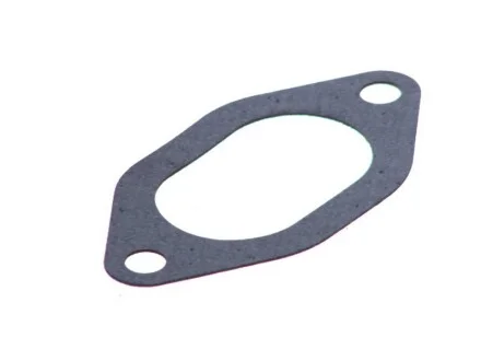 Прокладка колектора IN FIAT 8140.63/8140.07/S8U (4) (вир-во PAYEN) Payen JC054