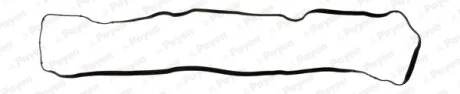 PAYEN CITROEN прок. клап. кришки Berlingo 1.6 C2, C3, C4 (2шт. на двигун) Payen JM7035